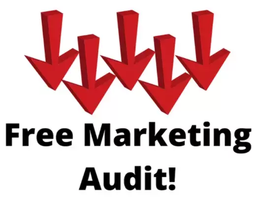 IntrepidDM Free Marketing Audit